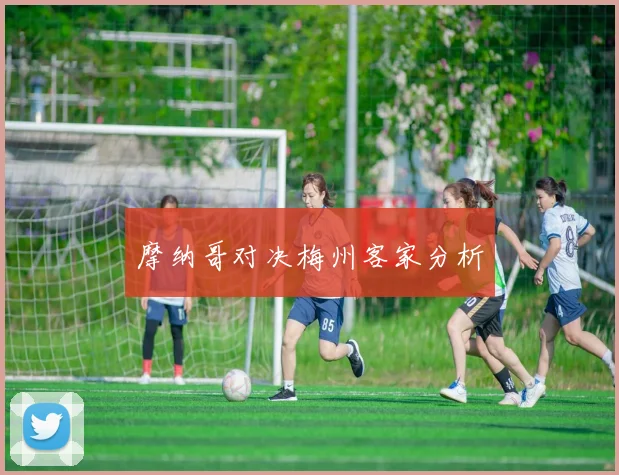 摩纳哥对决梅州客家分析