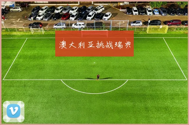 澳大利亚挑战瑞典