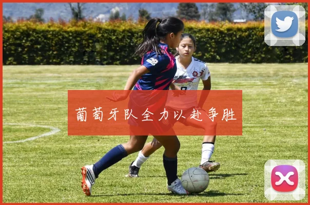 葡萄牙队全力以赴争胜
