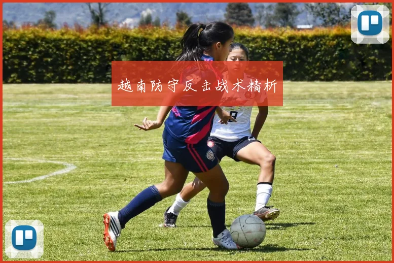 越南防守反击战术精析