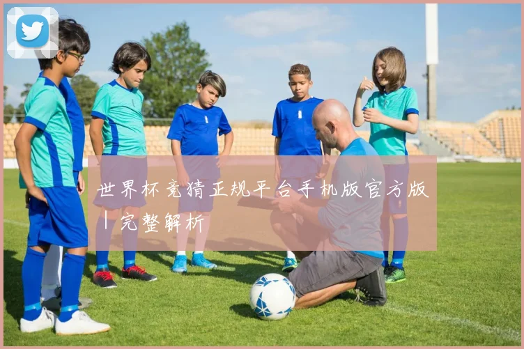 世界杯竞猜正规平台手机版官方版|完整解析