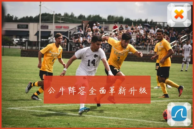 公牛阵容全面革新升级