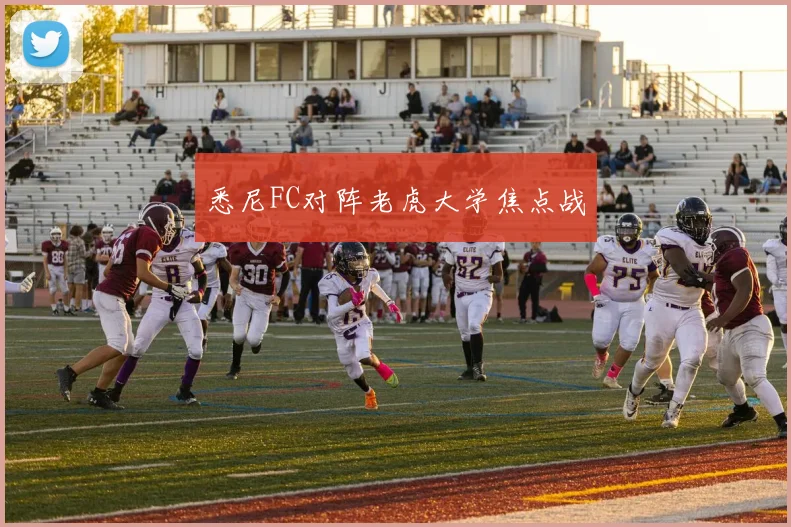 悉尼FC对阵老虎大学焦点战