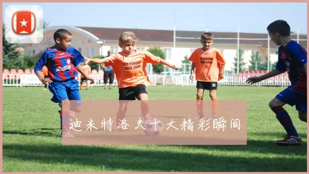 迪米特洛夫十大精彩瞬间