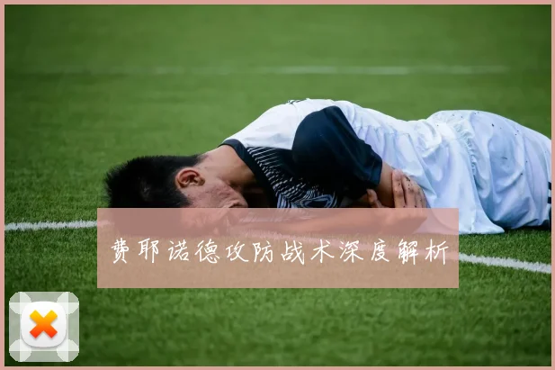 费耶诺德攻防战术深度解析