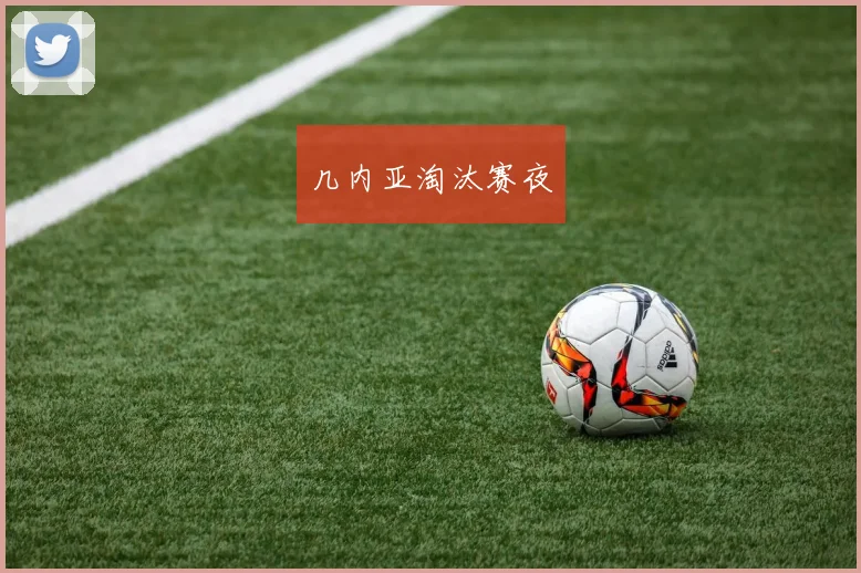 几内亚淘汰赛夜