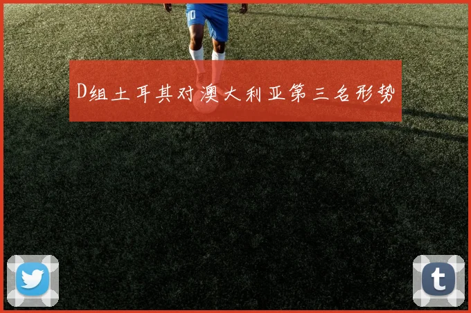 D组土耳其对澳大利亚第三名形势