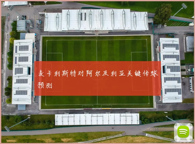 麦卡利斯特对阿尔及利亚关键传球预测