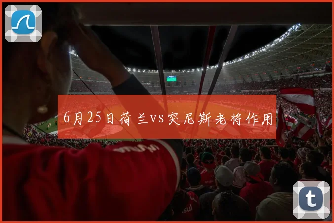 6月25日荷兰vs突尼斯老将作用
