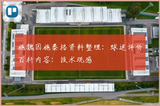 施魏因施泰格资料整理：球迷评价百科内容：技术观感