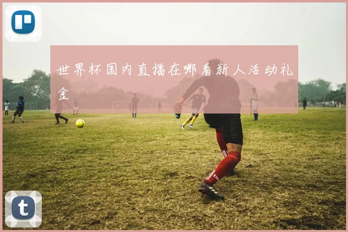 世界杯国内直播在哪看新人活动礼金