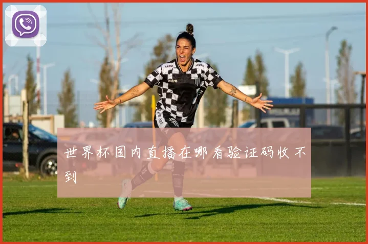 世界杯国内直播在哪看验证码收不到