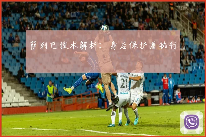 萨利巴技术解析:身后保护看执行