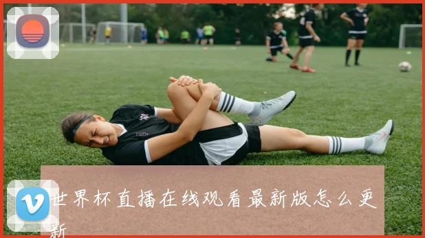世界杯直播在线观看最新版怎么更新