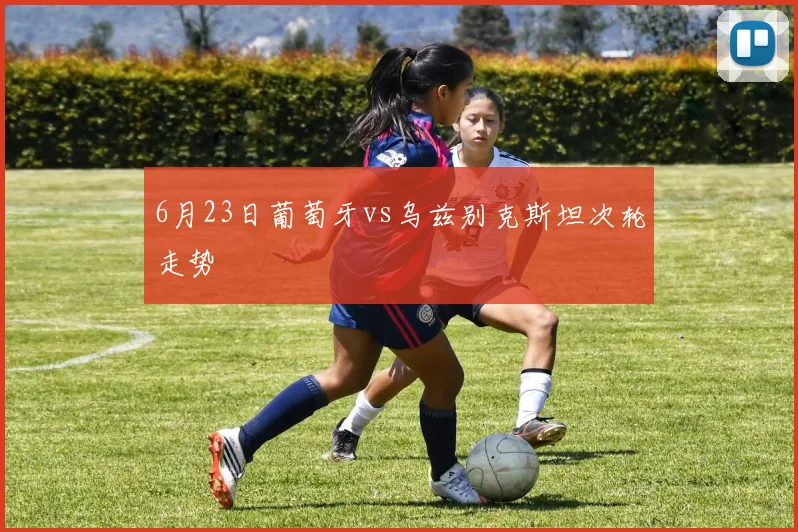 6月23日葡萄牙vs乌兹别克斯坦次轮走势